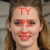Bild von SpielwieseWeb4